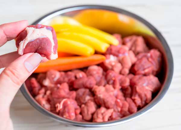 ¿Qué es lo que debería comer mi animal?