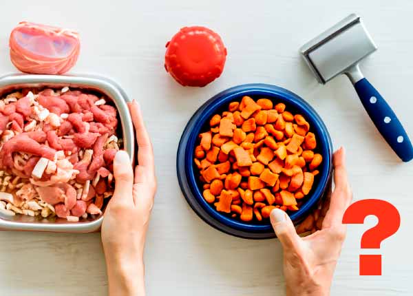 ¿Cómo sé que la alimentación que doy a mi perro o gato es la correcta?